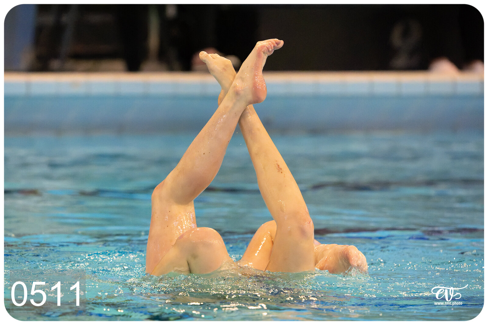 CHAMPIONNAT DE FRANCE DE NATATiON ARTISTIQUE N1 & ELITE 2026